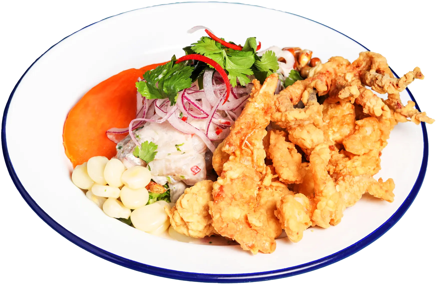 Ceviche & Crispy Seafood