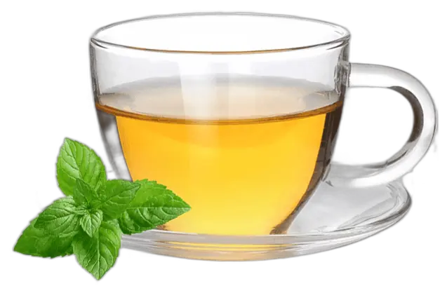 Fresh Mint Tea